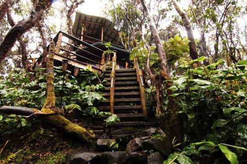 photos-luxury-tree-houses-Kilauea