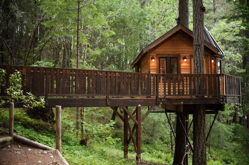 photos-luxury-tree-houses-calypso