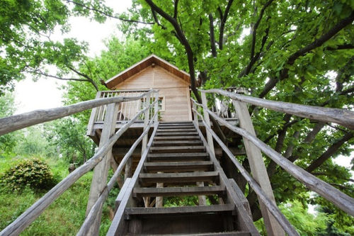 photos-luxury-tree-houses-italian