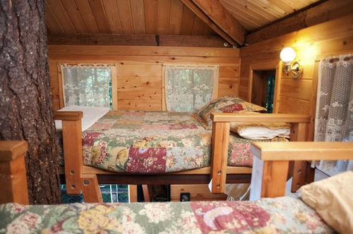 photos-luxury-tree-houses